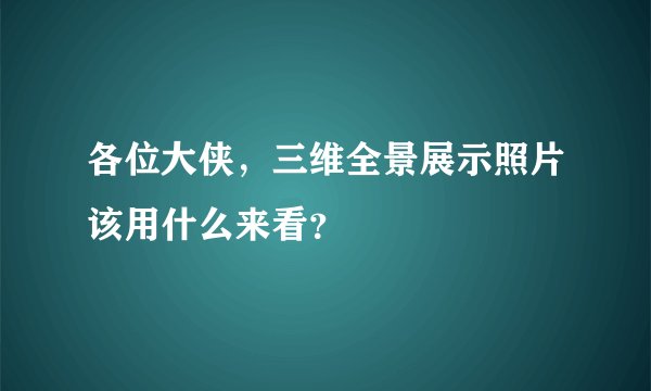 各位大侠，三维全景展示照片该用什么来看？