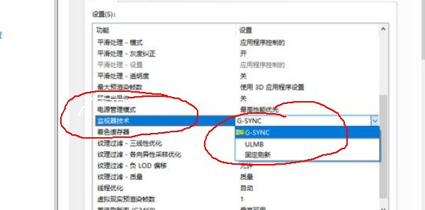 G- Sync如何设置监视器？