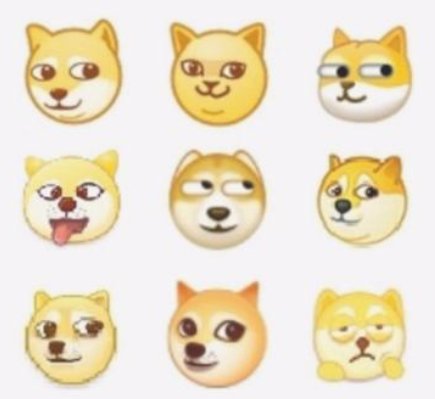 旺柴这个表情是什么意思?