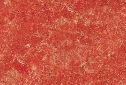 时代少年团各个成员的应援色是什么？