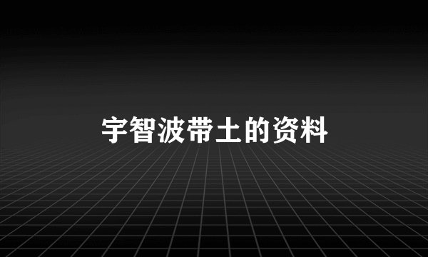 宇智波带土的资料
