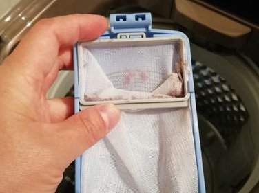 苹果小小洗衣机怎么使用