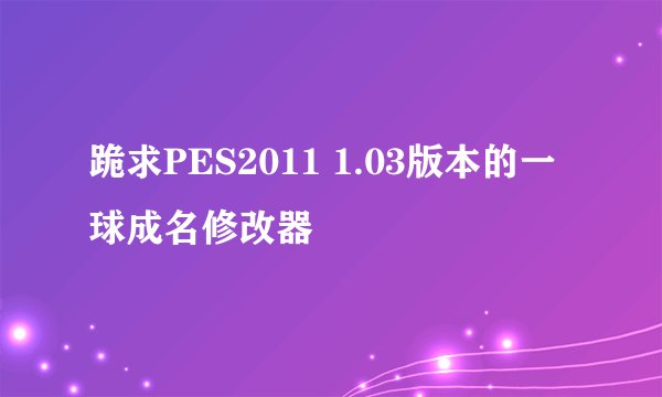 跪求PES2011 1.03版本的一球成名修改器