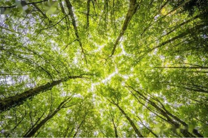 密集是什么意思