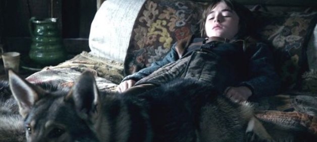 《冰与火之歌》中艾莉亚的狼叫什么名字？