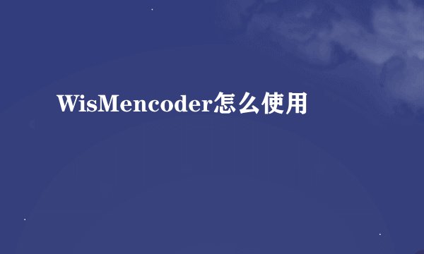 WisMencoder怎么使用