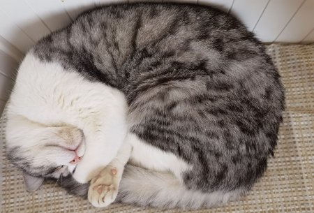 晚上睡不着必备十大app