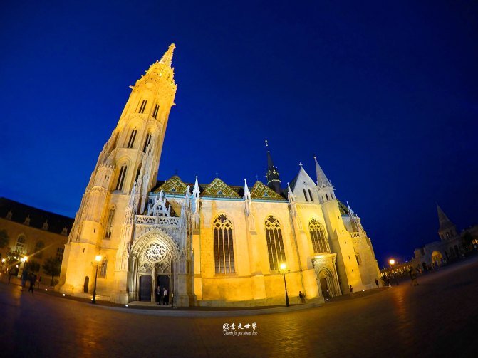 布达佩斯的吸血鬼的介绍