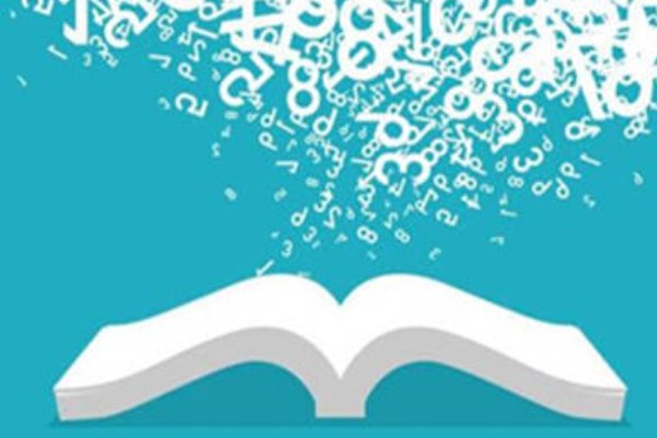 essays是什么意思