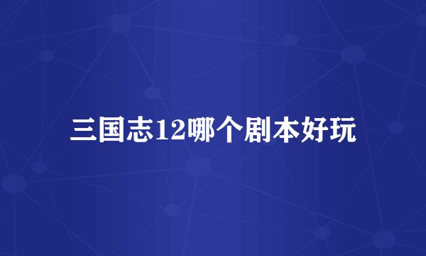 三国志12哪个剧本好玩