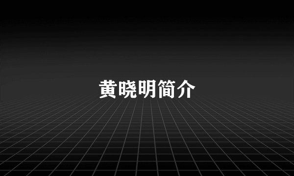 黄晓明简介