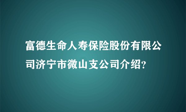 富德生命人寿保险股份有限公司济宁市微山支公司介绍？