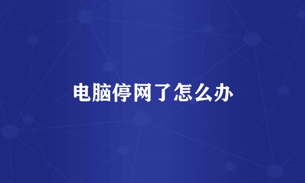 电脑停网了怎么办