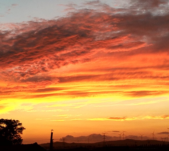 晚上的晚怎么写笔顺