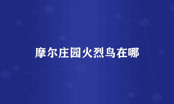 摩尔庄园火烈鸟在哪