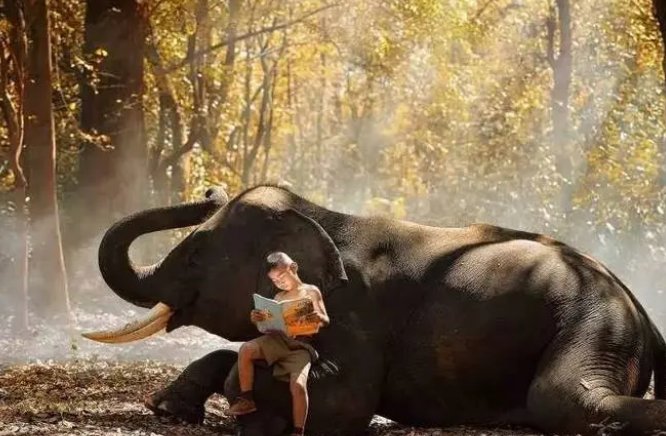 什么叫人文艺术？