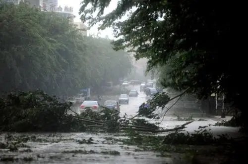 台风狮子山登陆海南，多地风雨大作，哪个地方受台风影响最严重？