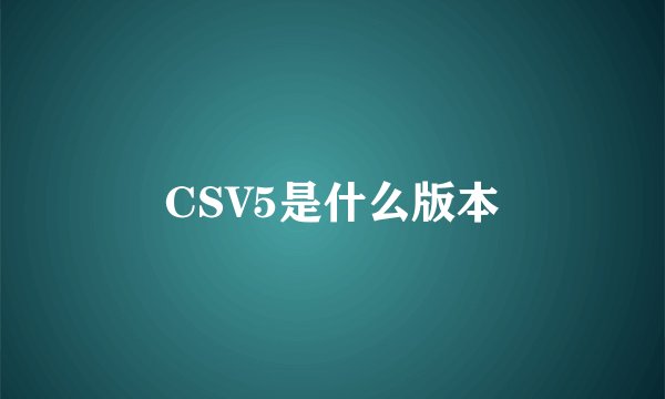 CSV5是什么版本