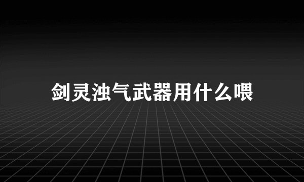 剑灵浊气武器用什么喂