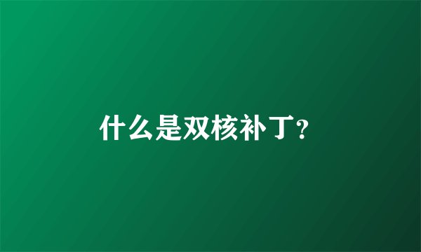 什么是双核补丁？