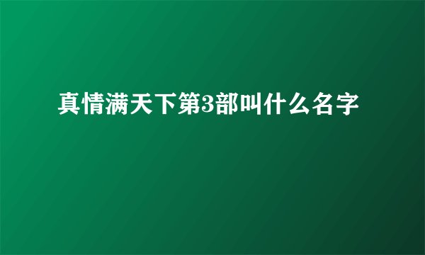 真情满天下第3部叫什么名字