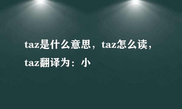 taz是什么意思，taz怎么读，taz翻译为：小