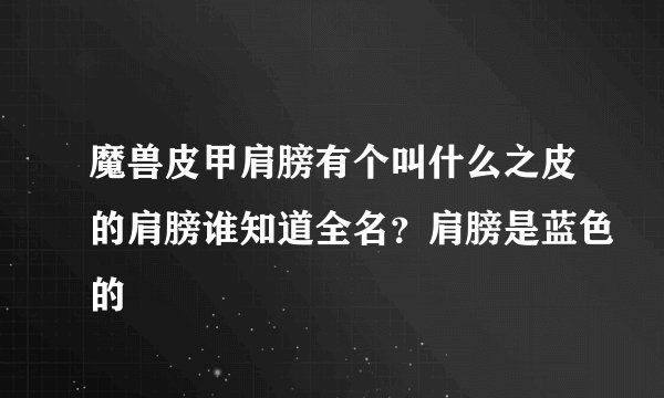 魔兽皮甲肩膀有个叫什么之皮的肩膀谁知道全名？肩膀是蓝色的