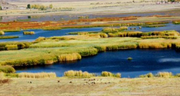 蒙古语的一些称呼