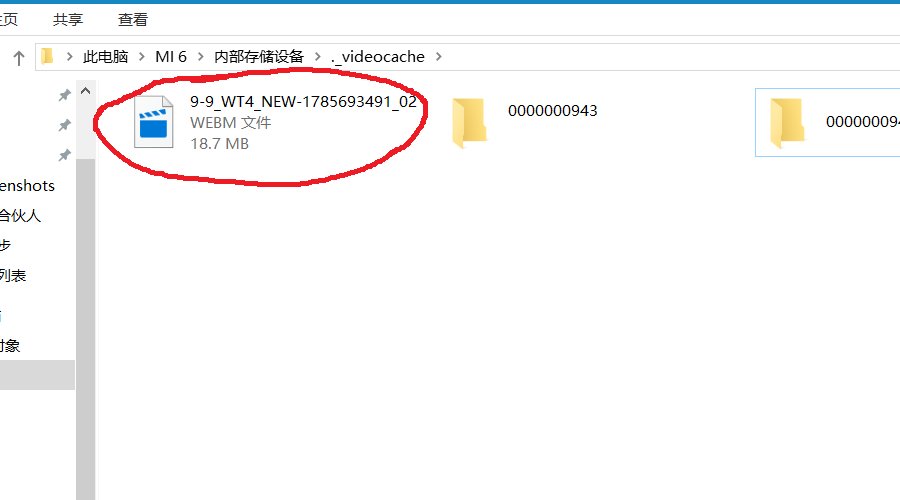 怎么下载MP4格式的视频？