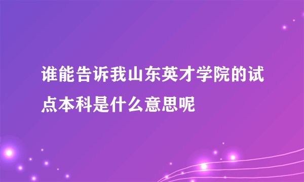谁能告诉我山东英才学院的试点本科是什么意思呢