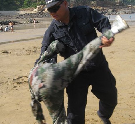 cqb是什么格斗术？