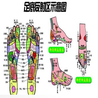 上品网的关于上品