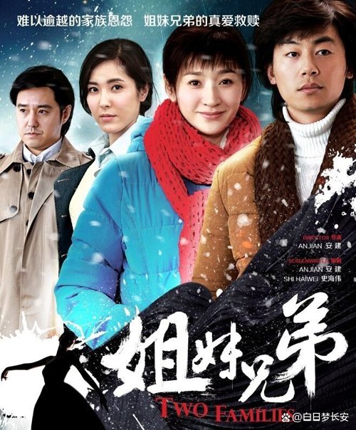 电视剧《姐妹兄弟》演员表