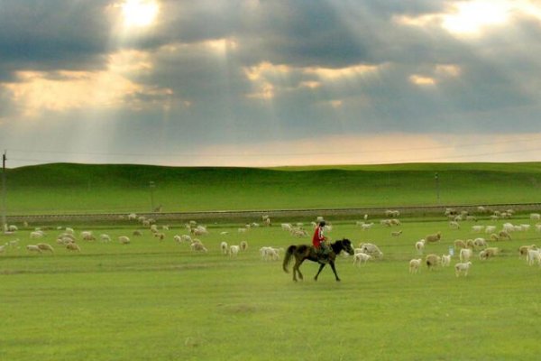 中国有哪五个高原