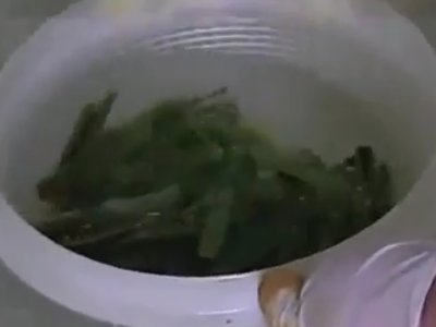 怎么从电子垃圾中提取黄金