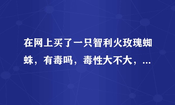 在网上买了一只智利火玫瑰蜘蛛，有毒吗，毒性大不大，温顺吗，被咬了怎么办，，，求高手解答，，