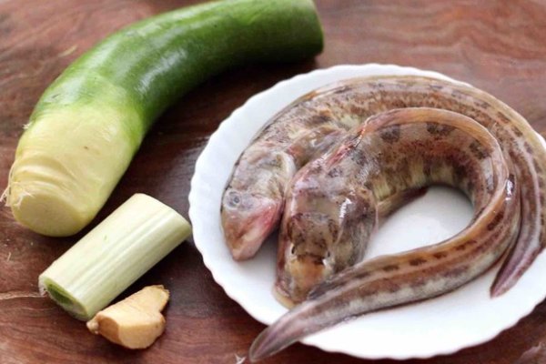 鲶鱼的做法大全