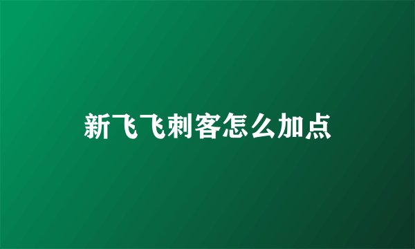 新飞飞刺客怎么加点