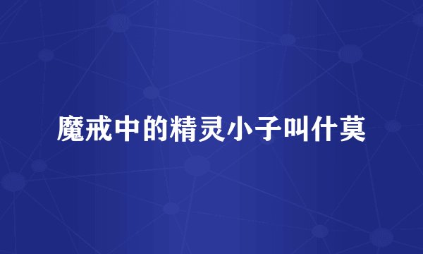 魔戒中的精灵小子叫什莫