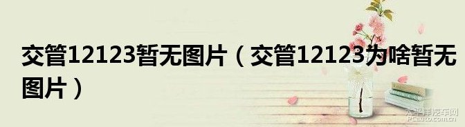 交管12123为啥暂无图片