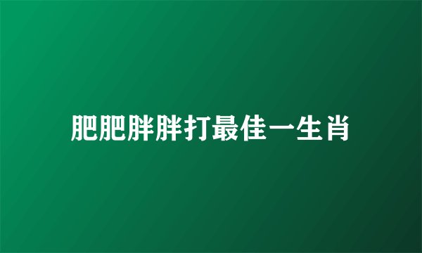 肥肥胖胖打最佳一生肖