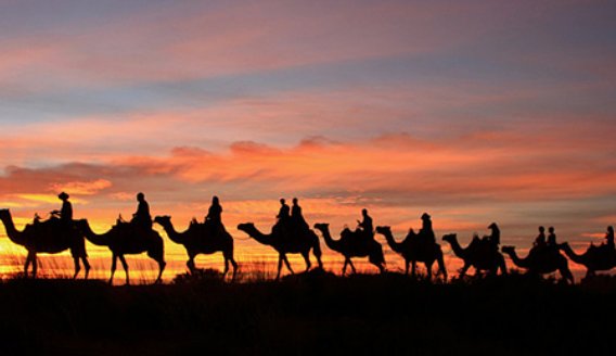 骆的拼音和组词语是什么