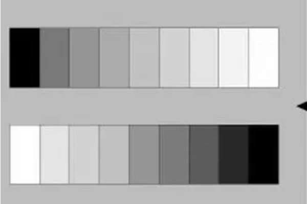 grayscale什么意思