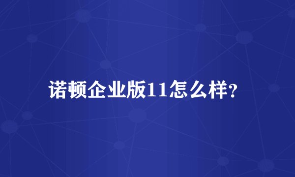 诺顿企业版11怎么样？