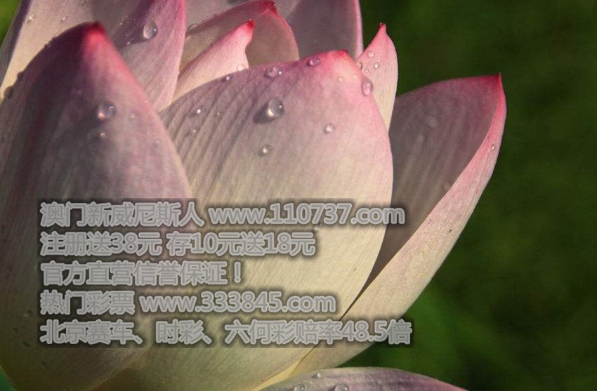 夜色贵族的最新网址，发我邮箱。有VIP账号加分