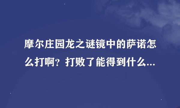 摩尔庄园龙之谜镜中的萨诺怎么打啊？打败了能得到什么？答得好的，追加分。