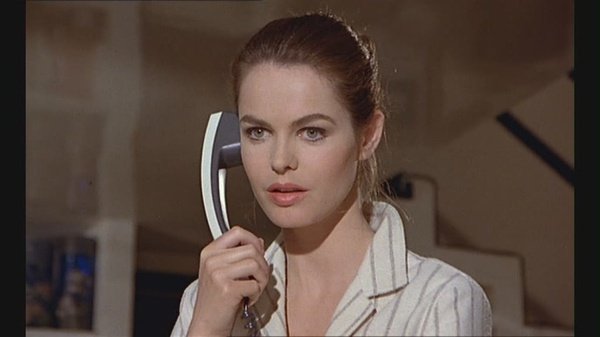 阴谋的代价的介绍