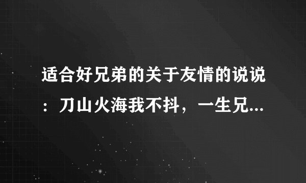 适合好兄弟的关于友情的说说：刀山火海我不抖，一生兄弟一起走