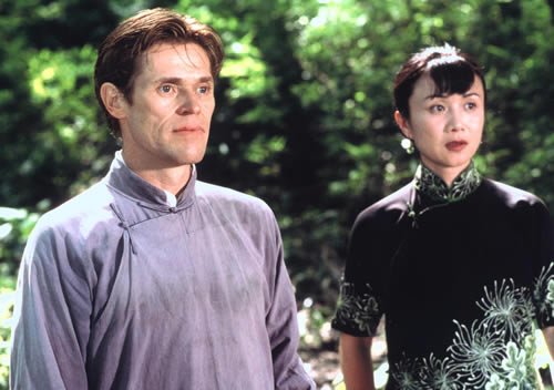 庭院里的女人的剧情简介