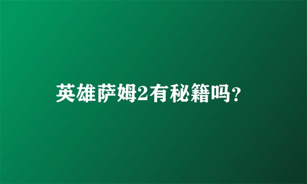 英雄萨姆2有秘籍吗？